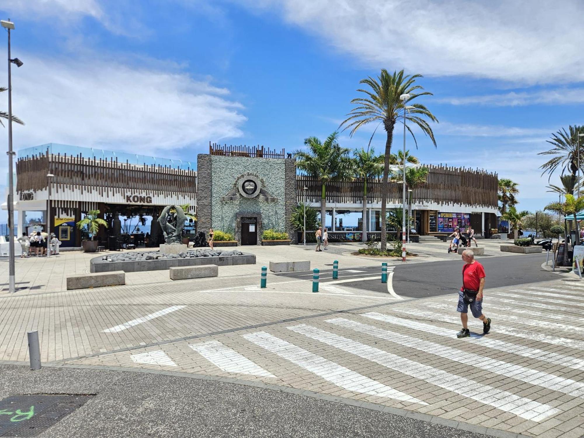 Apto Vera Cruz Playa Las Americas プラヤ・デ・ラス・アメリカス エクステリア 写真